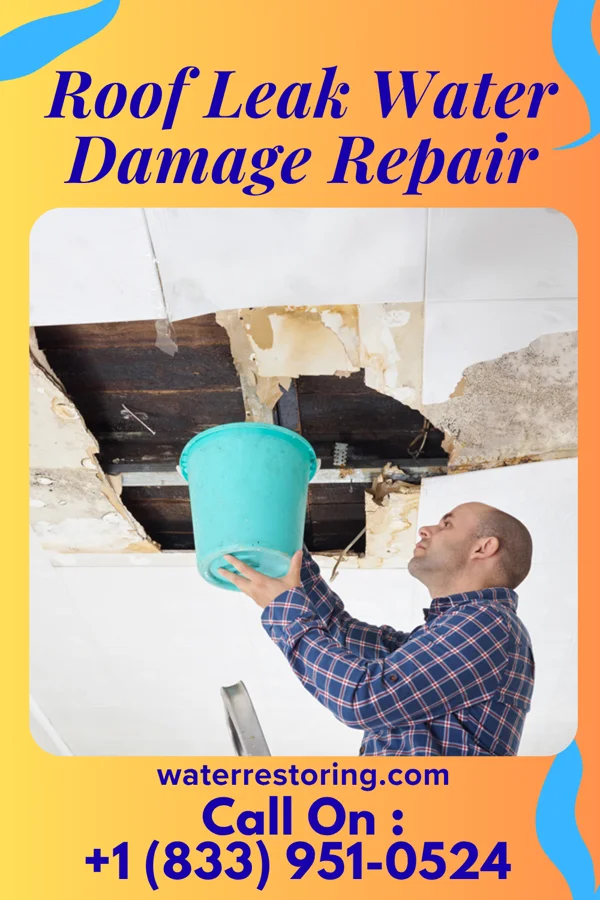 Roof Leak Water Damage Repair in Yoncalla, OR